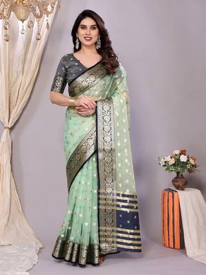 Sky blue wovenkanchipuram art silk handloom saree with blouse 2