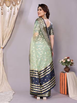 Sky blue wovenkanchipuram art silk handloom saree with blouse 3