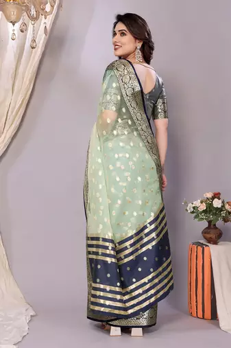 Sky blue wovenkanchipuram art silk handloom saree with blouse