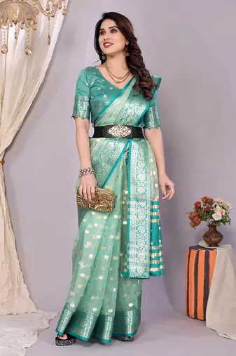 Sky wovenkanchipuram art silk handloom saree with blouse