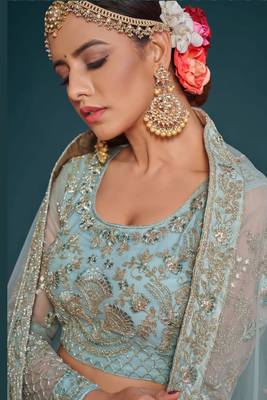 Blue Thread Embroidery and Zari Net Lehenga with Blouse 2