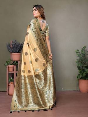 Green viscoseart banarasi silk saree 3
