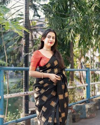Black silk blend saree with blouse 2