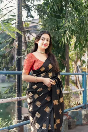 Black silk blend saree with blouse