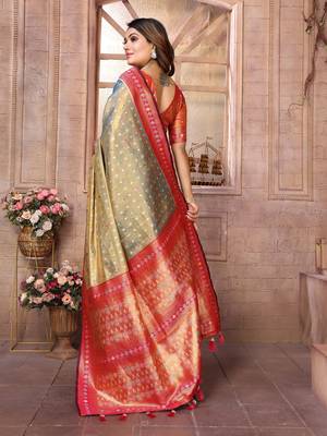 Grey tissue silk patola design art kanjeevaram silk saree 3