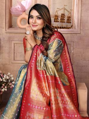 Grey tissue silk patola design art kanjeevaram silk saree 4