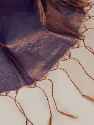 copper & blue handloom tissue saree with unstitched blouse piece 6