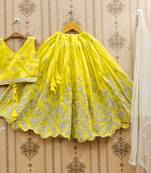 Regal festive embroidered lehenga set