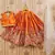Regal festive embroidered lehenga set