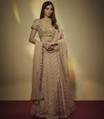 Caramel Shade Chinnon Chiffon Sequins And Mirror Embroidered Lehenga Set