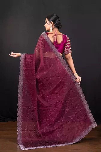 Wine jimmy choo saree with intricate silver embellishments and beautiful curve border