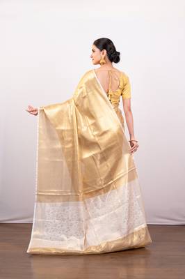 Gold tissue art silk saree with contrasting border 3