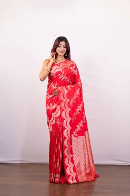 Red pure banarasi katan silk saree with  silver zari necklace border and floral motifs 2