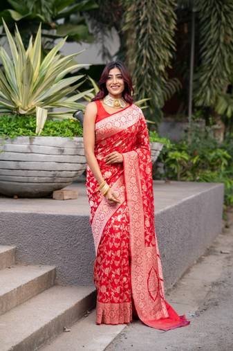 Red pure banarasi katan silk saree with silver zari jaal motifs  and border