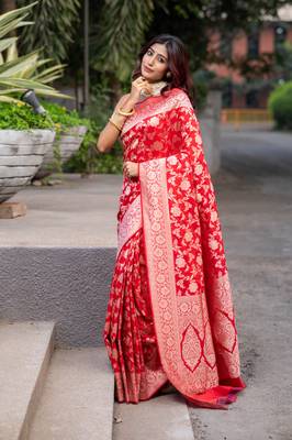 Red pure banarasi katan silk saree with silver zari jaal motifs  and border 2