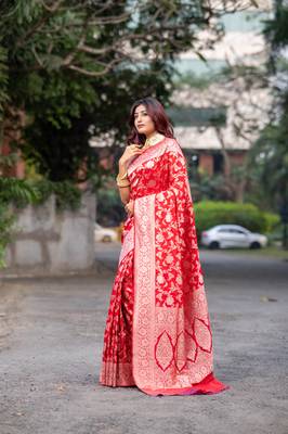Red pure banarasi katan silk saree with silver zari jaal motifs  and border 3