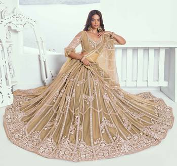 BEIGE NET FABRIC LEHENGA WITH SEQUINS AND THREAD EMBROIDERY WORK 2