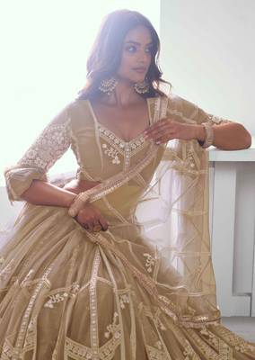 BEIGE NET FABRIC LEHENGA WITH SEQUINS AND THREAD EMBROIDERY WORK 5
