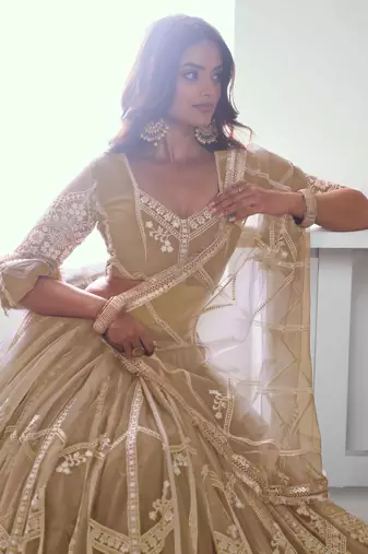 BEIGE NET FABRIC LEHENGA WITH SEQUINS AND THREAD EMBROIDERY WORK