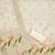 White soft banarasi silk zari woven design dress material