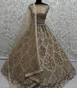 Golden Thread Work Net Wedding Wear Lehenga Choli