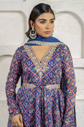 Blue floral printed & embroidered anarkali set