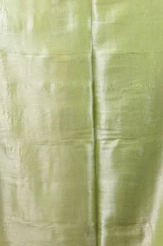 Light green tissue soft saree with pompom
