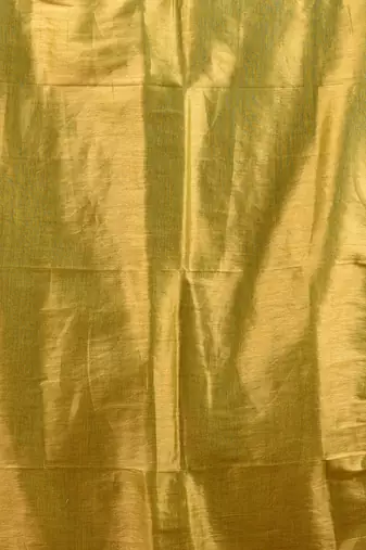 Magenta and lime green shimmer tissue saree with gota patti borders