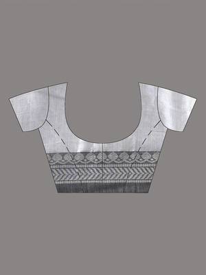 Silver shimmer tissue saree with nakshi borders 5