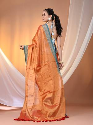 Orange shimmer tissue saree with nakshi borders 3