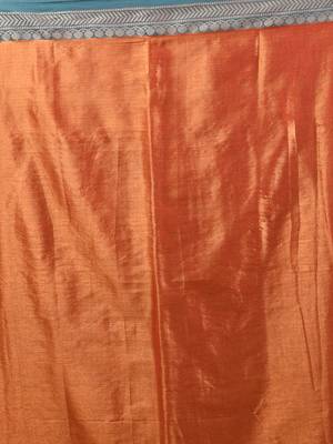 Orange shimmer tissue saree with nakshi borders 4