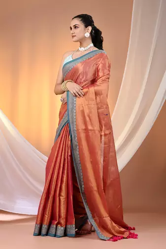 Red shimmer tissue saree with nakshi borders