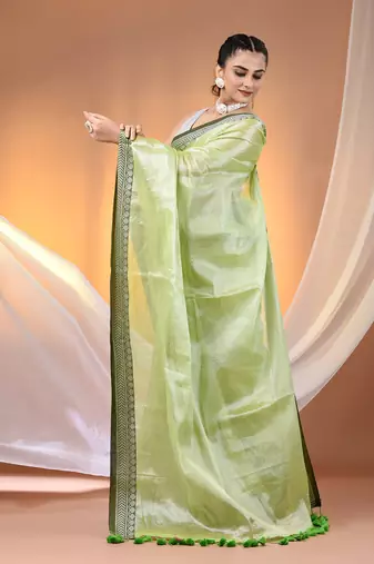 Light green shimmer tissue saree with nakshi borders