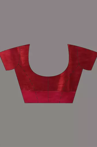 Red and pink dual tone stripe pattern tissue saree with sequin work