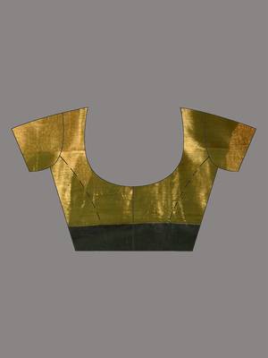 Sap green shimmer tissue saree with gota patti borders 5