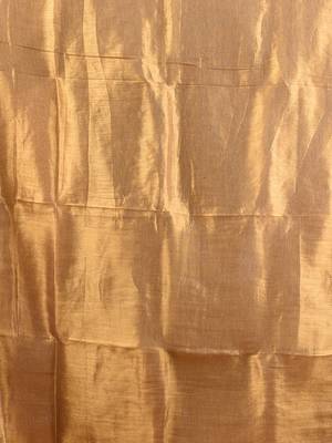 Beige shimmer tissue saree with gota patti borders 4