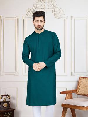 firozi solid chikankari kurta 2