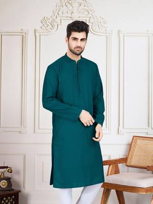 firozi solid chikankari kurta 3