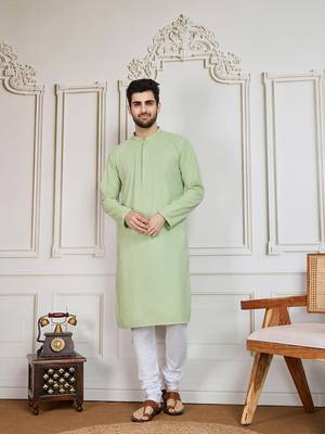 Light green solid chikankari kurta 1
