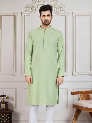 Light green solid chikankari kurta 2