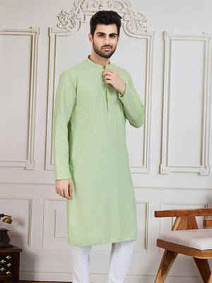 Light green solid chikankari kurta 3