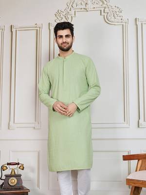 Light green solid chikankari kurta 4