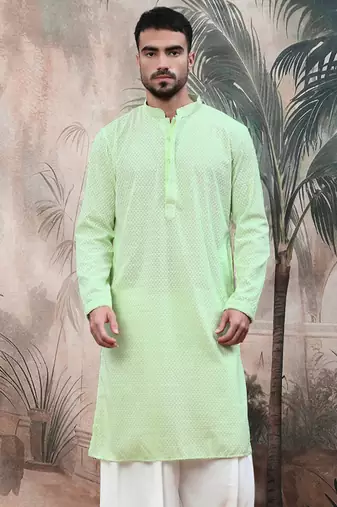 light greensolid chikankari handcraftedkurta