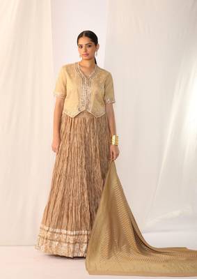 Champagne embroidered gota patti silk fusion wear 1