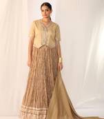 Champagne embroidered gota patti silk fusion wear