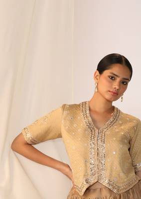 Champagne embroidered gota patti silk fusion wear 2