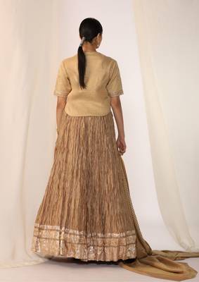 Champagne embroidered gota patti silk fusion wear 3