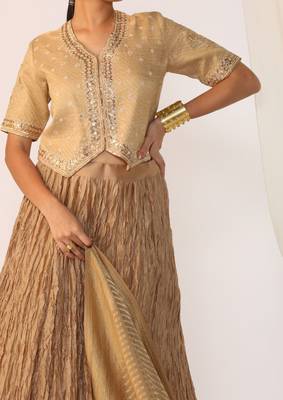 Champagne embroidered gota patti silk fusion wear 5
