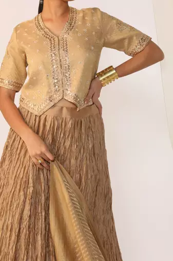 Champagne embroidered gota patti silk fusion wear