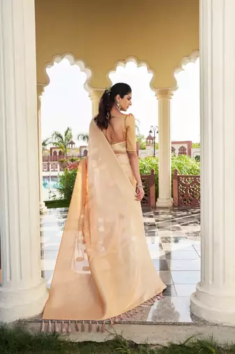 Beige Woven Gold Zari Banarasi Soft Georgette Saree